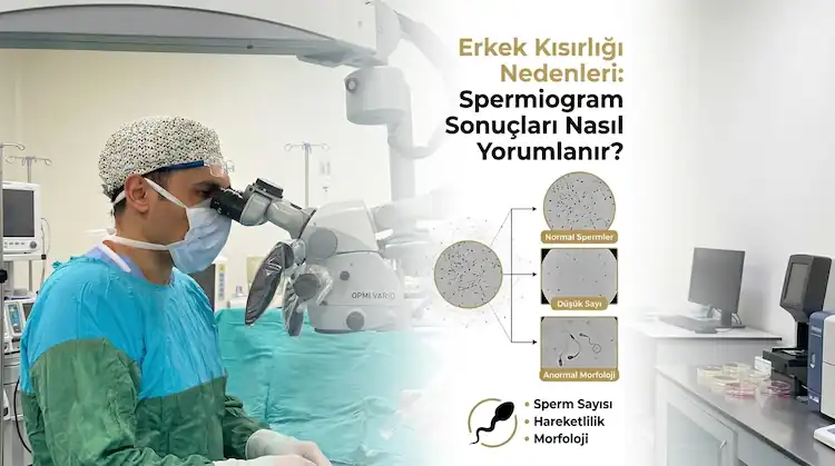 Semen Analizi