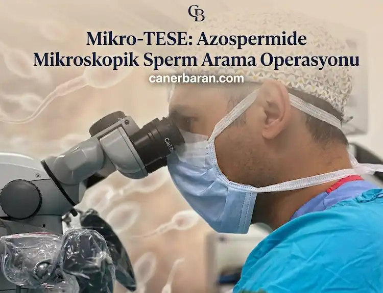 Mikro TESE Dr. Caner BARAN